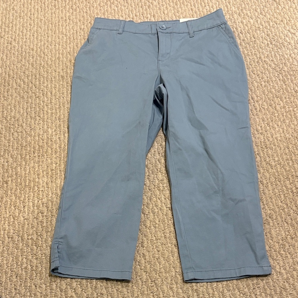 Style & Co. Blue Capris